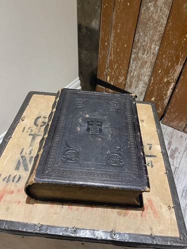 Holy bible illustrated the - bible,