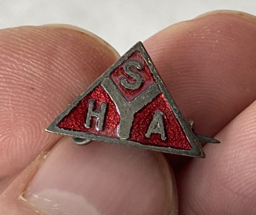 Vintage enamel pin lapel - enamel,