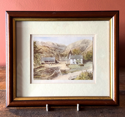 Signed yew tree - signed,