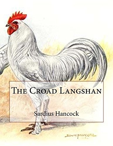 The croad langshan beauty - croad,