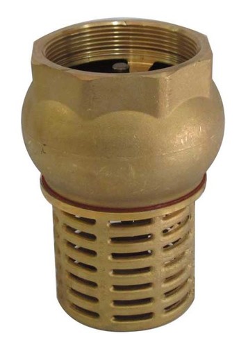 Bsp female check foot - female,