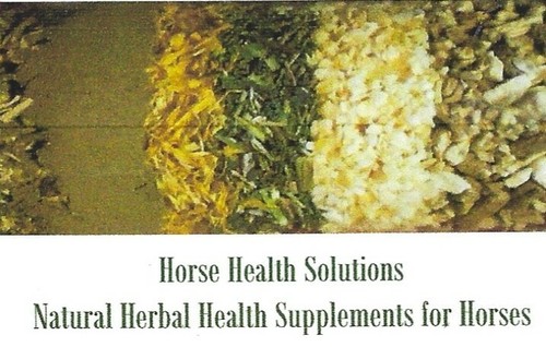 Herbs for horses ponies - for,
