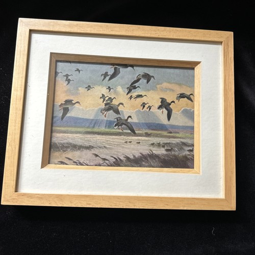 Vintage print mallards - print,, “mallards