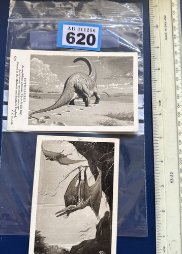 Np620 dinosaur collectables - np620,