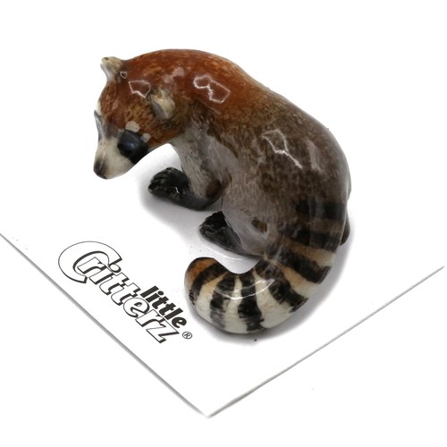 Little critterz coatimundi - -,