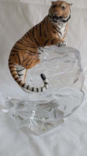 Siberian tiger from franklin - siberian,