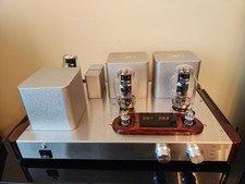 300B Reference Valve Tube