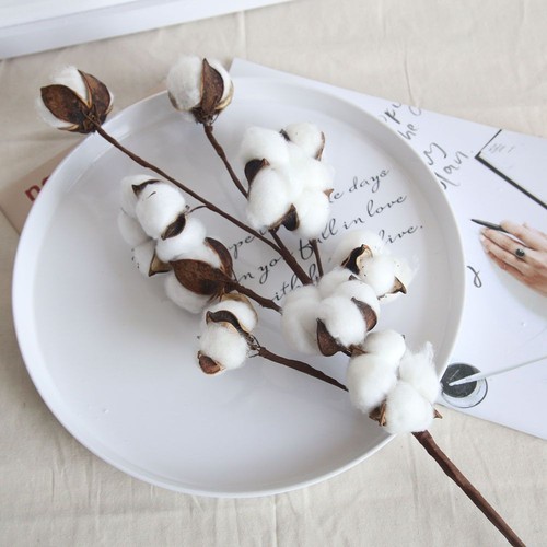1pc naturally dried heads - 1pc,