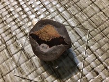 Ethiopian  Brown Precious Opal