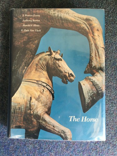The horse warren - horse,, evans