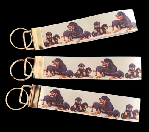 Rottweiler dog german breed - rottweiler,