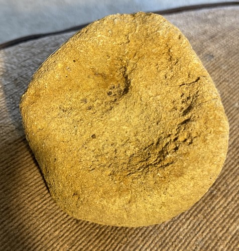Fossil vertebra 5x3 25x3 - vertebra, 3.5x3.25x3”
