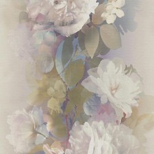 Aurora Floral Wallpaper