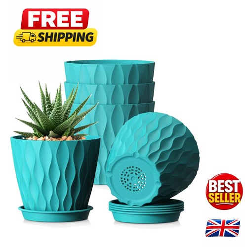 Stylish 15cm blue green plant - blue-green,
