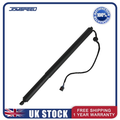 Electric tailgate gas strut - electric,