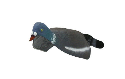 High detail pigeon - pigeon, shell