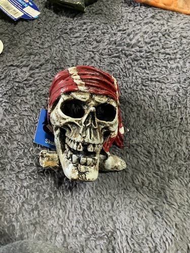 Pirate skull red bandana - pirate,