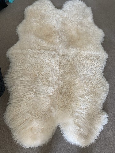 Australian new zealand xxxl - australian,