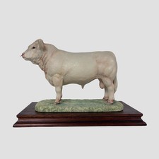 Charolais Bull Style One