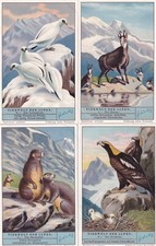 Liebig S1279 6 cards Alpine