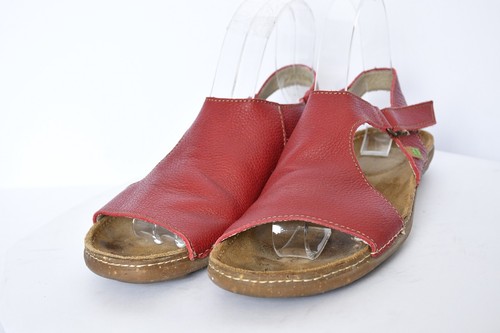 Naturalista women n309 - el,