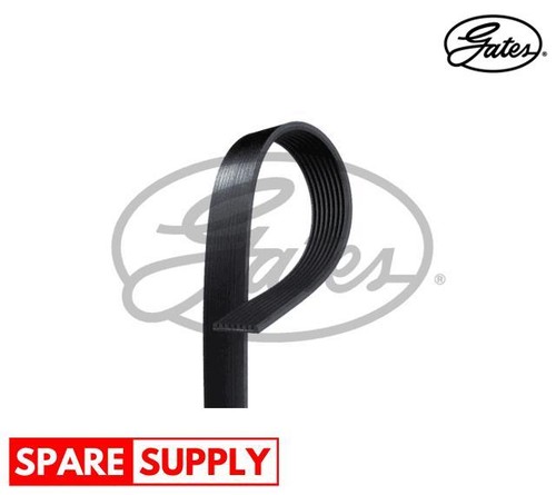 Ribbed belts for - v-ribbed,