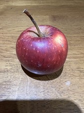 4 x apple scions , pick and