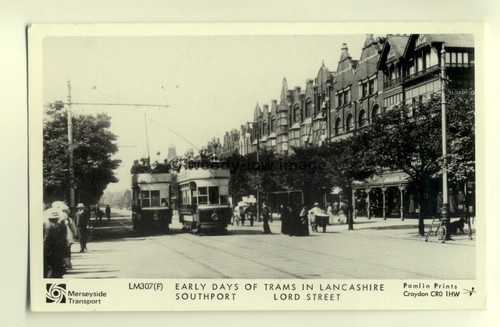 Pp1429 trams in lord - pp1429,