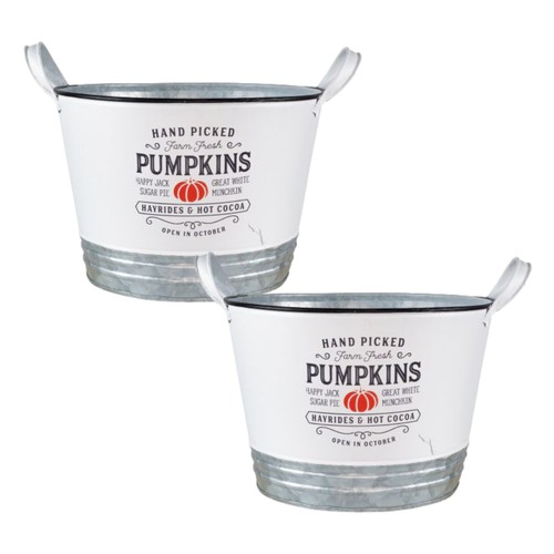 2pc tin pumpkin - planter, round