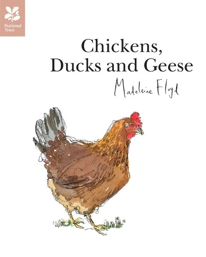 Chickens ducks and geese - chickens,,