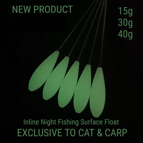 Carp night fishing - night,