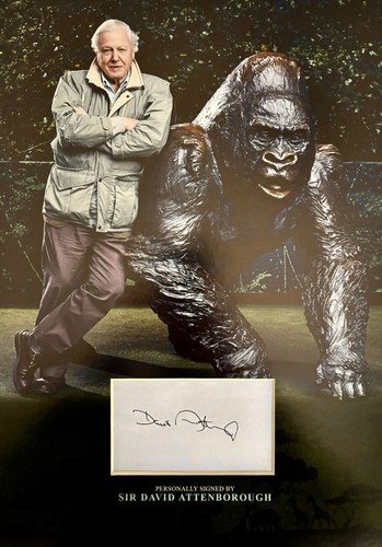 Sir david attenborough - david,