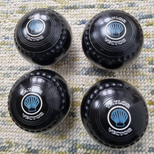 Thomas Taylor Vector Lawn