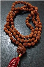 SIX 6  MUKHI FACE RUDRAKSHA