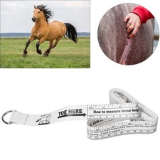 Horse Measuring Stick Horse