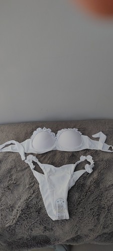 New white lemon daisy - white,