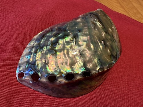 Genuine new zealand paua - genuine,