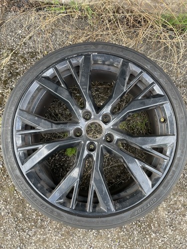 Genuine santiago - genuine, vw