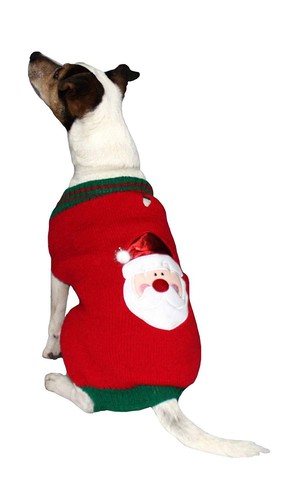 Dog christmas puppy - dog,