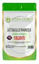 Probiotic Lactobacillus