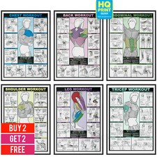 GYM WORKOUT POSTER ALL BODY