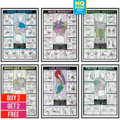 Gym workout poster - workout,