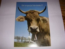 CP POSTCARD MESSAGE DO I LOOK