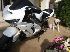Unpainted Fairing Kit w/Bolts