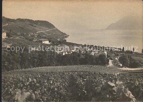 Lavaux vineyards lake - vd,