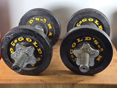 Vintage gold gym - gold's,