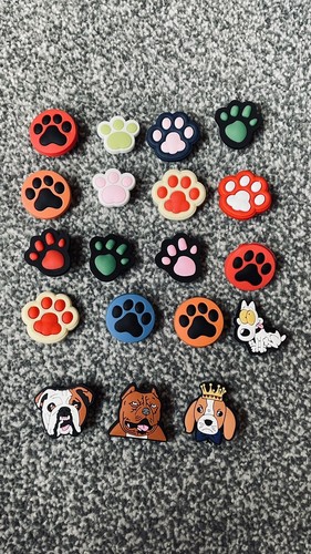 Dogs and dog - , shoe