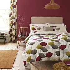Sanderson options dandelion - options,