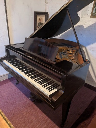 C1934 bluthner baby grand - bluthner,