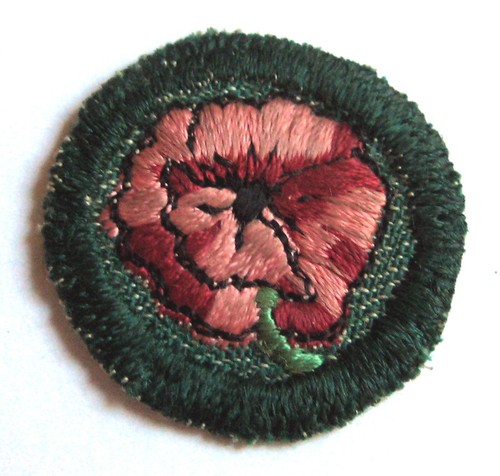Rare 1954 girl scout garden - 1954,